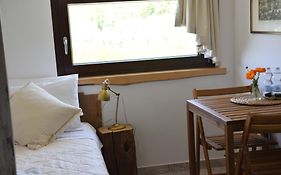 B&B Adama